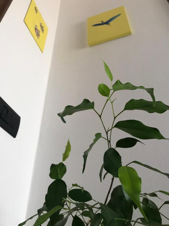 Gravellona Lomellina B&B Dal Giotu מראה חיצוני תמונה